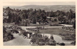 Sangerhausen - Blick Vom Alpinum (Rosarium) Gel.1941 - Sangerhausen