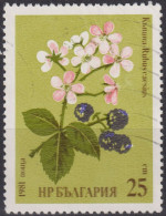 1981 Bulgarien ° Mi:BG 2966, Sn:BG 2731, Yt:BG 2604, Blackberry (Rubus Caesius), Herbal Remedies - Oblitérés