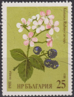 1981 Bulgarien ° Mi:BG 2966, Sn:BG 2731, Yt:BG 2604, Blackberry (Rubus Caesius), Herbal Remedies - Used Stamps