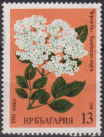 1981 Bulgarien ° Mi:BG 2965, Sn:BG 2730, Yt:BG 2603, Black Elderberry (Sambucus Nigra), Herbal Remedies - Used Stamps