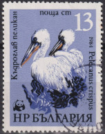 1984 Bulgarien ° Mi:BG 3304, Sn:BG 3009, Yt:BG 2870, Dalmatian Pelican (Pelecanus Crispus), WWF Pelicans - Gebraucht