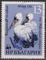 1984 Bulgarien ° Mi:BG 3304, Sn:BG 3009, Yt:BG 2870, Dalmatian Pelican (Pelecanus Crispus), WWF Pelicans - Gebraucht