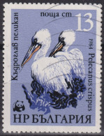 1984 Bulgarien ° Mi:BG 3304, Sn:BG 3009, Yt:BG 2870, Dalmatian Pelican (Pelecanus Crispus), WWF Pelicans - Oblitérés