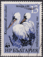 1984 Bulgarien ° Mi:BG 3304, Sn:BG 3009, Yt:BG 2870, Dalmatian Pelican (Pelecanus Crispus), WWF Pelicans - Gebraucht