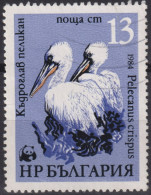 1984 Bulgarien ° Mi:BG 3304, Sn:BG 3009, Yt:BG 2870, Dalmatian Pelican (Pelecanus Crispus), WWF Pelicans - Pélicans