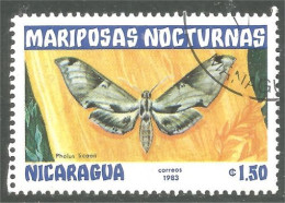 XW01-2349 Nicaragua Nuit Night Papillon Butterfly Butterflies Farfalla Mariposa Schmetterling Vlinder - Butterflies