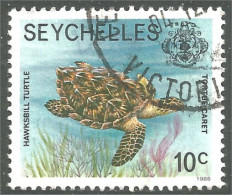 XW01-2348 Seychelles Tortue Tortuga Turtle Schildkröte Tartaruga - Turtles