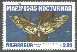 XW01-2351 Nicaragua Nuit Night Papillon Butterfly Butterflies Farfalla Mariposa Schmetterling Vlinder - Butterflies