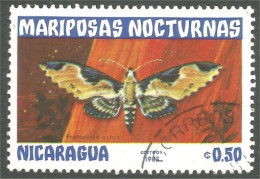 XW01-2340 Nicaragua Papillon Nuit Night Butterfly Butterflies Farfalla Mariposa Schmetterling Vlinder - Butterflies