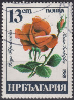 1985 Bulgarien ° Mi:BG 3374, Sn:BG 3076, Yt:BG 2930, Rosa Frakijka, Flowers - 1985 Roses - Used Stamps