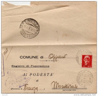 1946  LETTERA CON ANNULLO    OPPEANO VERONA - Marcofilía