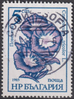 1985 Bulgarien ° Mi:BG 3407a, Sn:BG 3107, Yt:BG 2955, Bindweed - Convolvulus Tricolor, Gartenblumen - Gebraucht