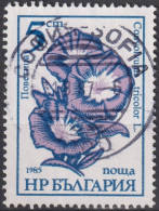 1985 Bulgarien ° Mi:BG 3407a, Sn:BG 3107, Yt:BG 2955, Bindweed - Convolvulus Tricolor, Gartenblumen - Used Stamps