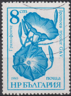 1986 Bulgarien ° Mi:BG 3489, Sn:BG 3184, Yt:BG 3024, Morning Glory - Ipomoea Tricolor, Gartenblumen - Oblitérés