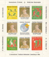AUSTRIA Vignette 1,unused (**) Scouting - Unused Stamps