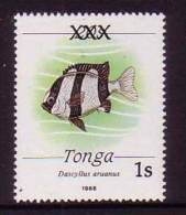 Tonga Rare Fish Ovpt - Locally Done Due To Shortage - Most Missed Out - MNH - Tonga (1970-...)