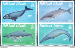 Fauna. Cetacei 1989. - Islas Malvinas