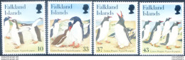 Fauna. Pinguini 2001. - Islas Malvinas