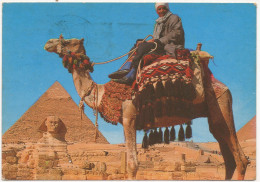 CP Egypte -  Giza Camel Driver Near The Sphinx And Khafre Pyramid - Gizeh