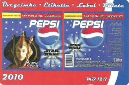 PEPSI COLA SOFT DRINK RICKY MARTIN SINGER MUSIC PUERTO RICO ANDRE AGASSI TENNIS LABEL CALENDAR * MB 2010 1-12 * Hungary - Petit Format : 2001-...