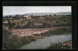 AK Jericho, Vue Panoramique  - Palestine