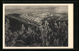 AK Kvutzah Ginegar, General View  - Palestine