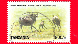 TANZANIA - Usato - 2009 (2010) - Wild Animals Of Tanzania - Antilopi - Migrating Gnus -  800/= - Tanzania (1964-...)