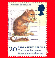 INGHILTERRA - GB - GRAN BRETAGNA - Usato - 1998 - Specie Minacciate Di Estinzione - Ghiro (Muscardinus Avellanarius) -20 - Used Stamps