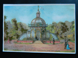 CHROMO EXPOSITION UNIVERSELLE DE PARIS 1878   ( 12  X   8,2 Cms)   UNE DES SERRES - Artis Historia