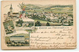 Autriche - Gruss Aus FREISTADT 1895 - Wasser Reservoir, Gymnasium ... - Freistadt