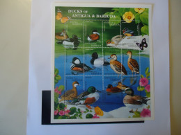 ANTIGUA  & BARBUDA  MNH  STAMPS SHEET OF  12  BIRD BIRDS DUCKS - Entenvögel