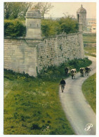 CPSM / CPM 10.5 X 15 Prestige CHARENTE-MARITIME Paysan Et Troupeau De Vache Au Pied De Remparts - Poitou-Charentes