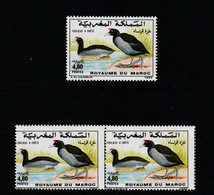 Maroc. Bloc De 2 Timbres Neufs + 1 Timbre Témoin. Oiseaux. Foulque à Crête.  Variété. Piquage à Cheval. - Oddities On Stamps