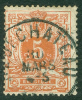 Belgique   28  Ob  TB   Obli  Neufchateau   - 1869-1888 Lion Couché