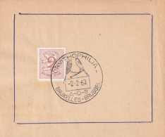 1963 ORNITHOPHILIA BRUXELLES BRUSSEL OISEAUX - Storia Postale