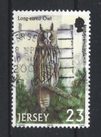 Jersey 2001  Owl Y.T. 986 (0) - Jersey