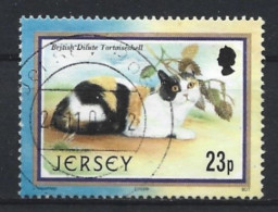 Jersey 2002 Cat Y.T. 1046 (0) - Jersey