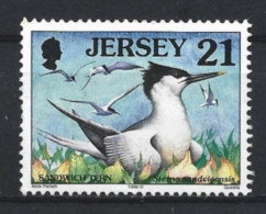 Jersey 1998 Bird Y.T. 808 (0) - Jersey