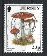 Jersey 1994 Mushroom Y.T. 634 (0) - Jersey