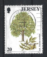 Jersey 1997 Tree Y.T. 793 (0) - Jersey