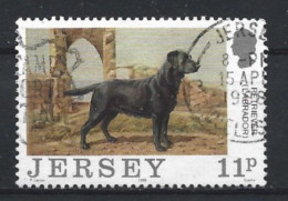 Jersey 1988 Dog Y.T. 424 (0) - Jersey