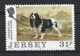 Jersey 1988 Dog Y.T. 427 (0) - Jersey