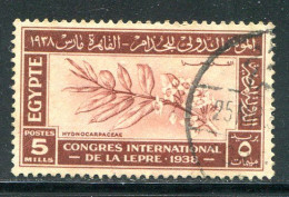 EGYPTE- Y&T N°210- Oblitéré - Used Stamps