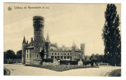 Thorhout  Torhout   Château De Wynendaele - Torhout