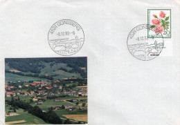 SWITZERLAND - GÜNSBERG - AFFRANCATA CON ANNULLI DEL 8.12.82 - Storia Postale