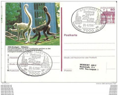 78 - 9 - Entier Postal Allemand Avec Illustration "singes" Et Oblit Spéciale De Stuttgart 1987 - Singes