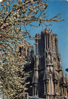 REIMS     CATHEDRALE - Reims