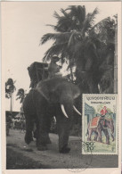 Laos - Carte Maximum 1959 - Eléphant - Laos