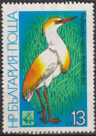 1981 Bulgarien ** Mi:BG 2984, Yt:BG 2619, Cattle Egret (Bubulcus Ibis), International Hunting Exhibition EXPO '81, - Ungebraucht