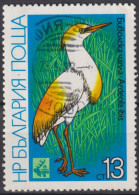 1981 Bulgarien ° Mi:BG 2984, Yt:BG 2619, Cattle Egret (Bubulcus Ibis), International Hunting Exhibition EXPO '81, - Gebraucht